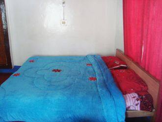 Wan Posh Guest House, Srinagar 3